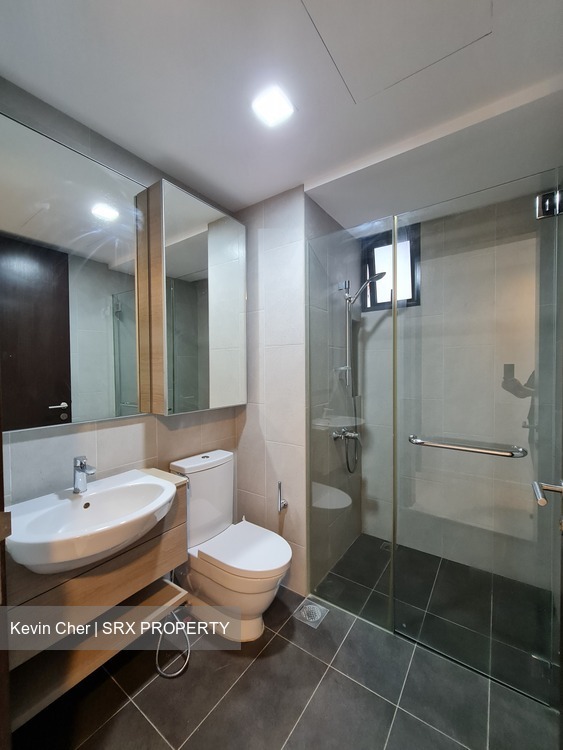 Terrene At Bukit Timah (D21), Condominium #624599661